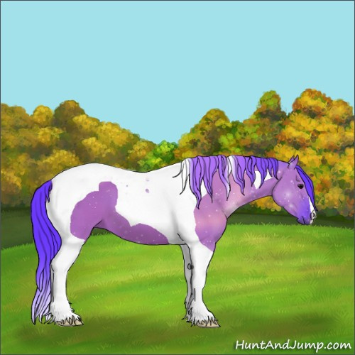 Horse Color:Watercolor Grullo Tobiano 