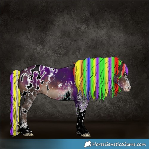 Horse Color:Painted White Spotted Silver Brown Appaloosa 