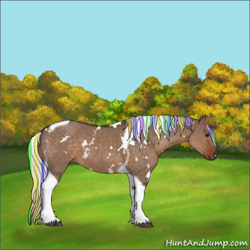 Horse Color:Painted White Spotted Silver Brown Dun Tobiano 