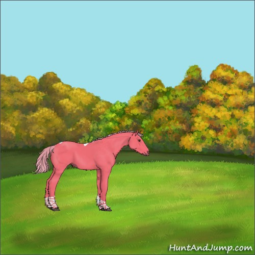 Horse Color:Watercolor Liver Chestnut Tobiano 