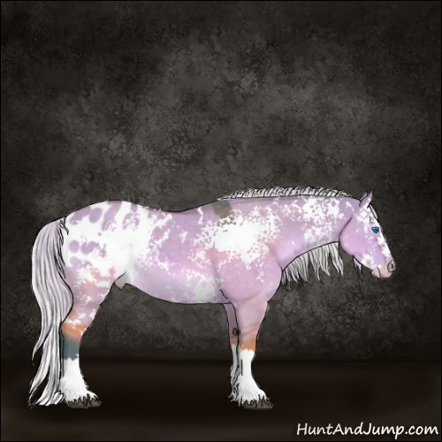 Horse Color:Watercolor White Spotted Silver Brown Dun Splash Appaloosa 