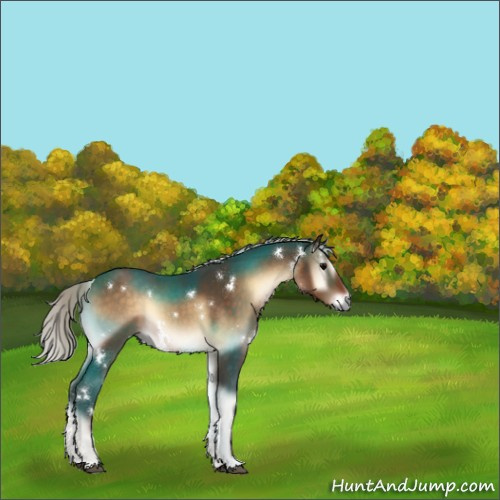 Horse Color:White Spotted Silver Brown Onyx 