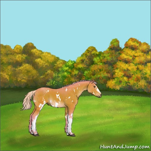 Horse Color:Watercolor White Spotted Silver Bay 