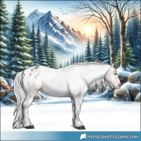Horse Color:White Spotted Silver Brown Dun Sabino Appaloosa 