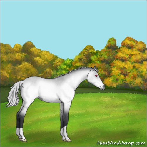 Horse Color:Silver Brown Chinchilla Dun 