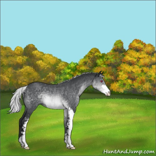 Horse Color:Silver Brown Chinchilla Sabino 