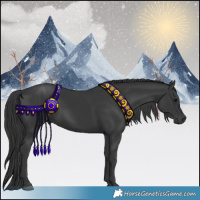 Horse Color:Black Rabicano 