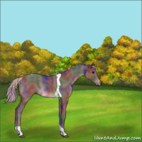 Horse Color:Nacre Silver Black Tobiano 
