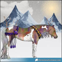 Horse Color:Nacre Silver Brown Tobiano 