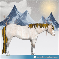 Horse Color:Painted Bay Roan Dun Sabino Rabicano 