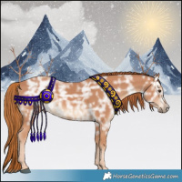 Horse Color:Chestnut Ice 