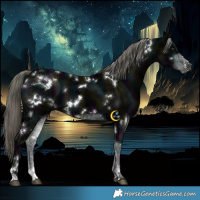Horse Color:White Spotted Midnight Liver Chestnut Ice Mushroom 