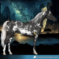 Horse Color:White Spotted Liver Chestnut Mushroom Rabicano 