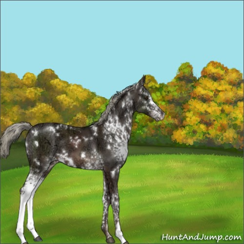 Horse Color:White Spotted Liver Chestnut Ice Mushroom 