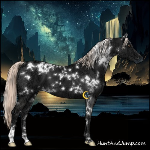 Horse Color:White Spotted Liver Chestnut Ice Mushroom