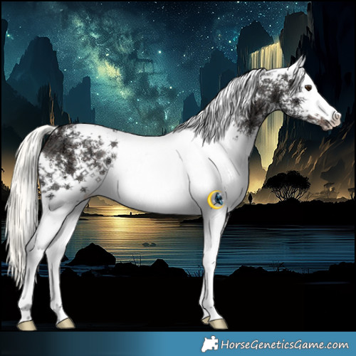 Horse Color:White Spotted Liver Chestnut Ice Mushroom