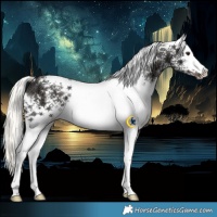 Horse Color:White Spotted Liver Chestnut Ice Mushroom 