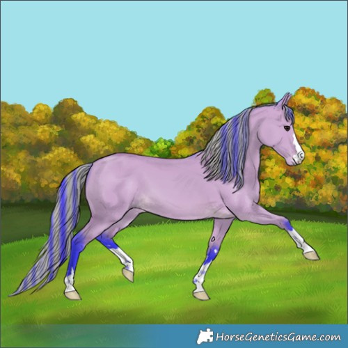 Horse Color:Painted Watercolor Bay Dun 