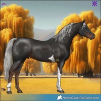 Horse Color:Liver Chestnut Mushroom Tobiano 