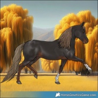 Horse Color:Liver Chestnut Tobiano 