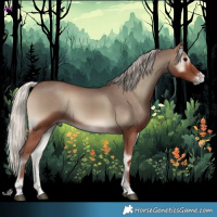Horse Color:Silver Blue Onyx 