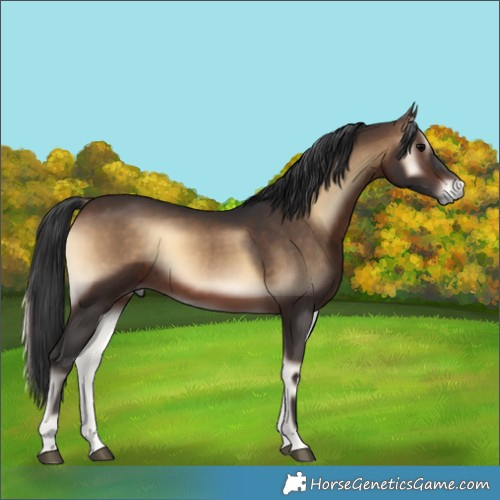Horse Color:Brown Onyx 