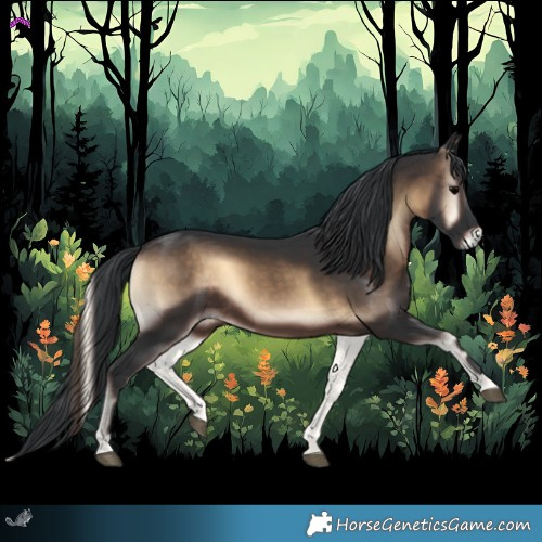 Horse Color:Brown Onyx