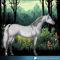 Horse Color:Silver Grullo Chinchilla 