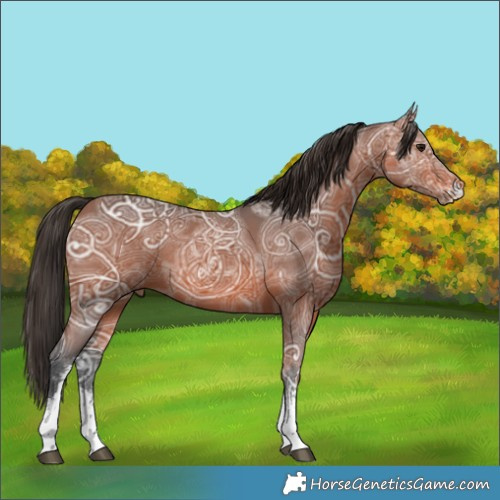 Horse Color:Bay Ice Sabino Rabicano 