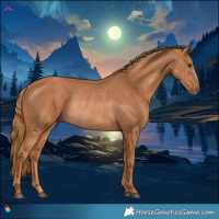 Horse Color:Chestnut Rabicano 
