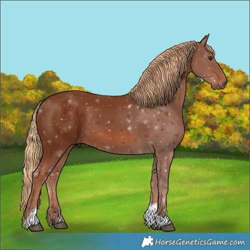Horse Color:Chestnut Tobiano 