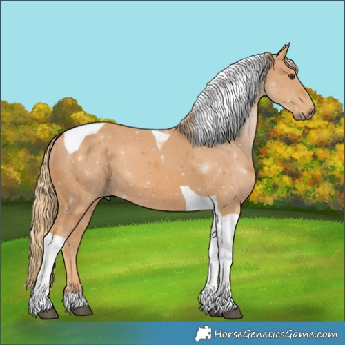 Horse Color:Chestnut Tobiano 