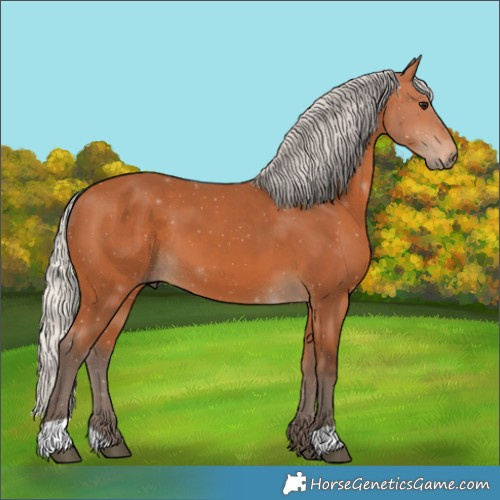 Horse Color:Silver Bay 