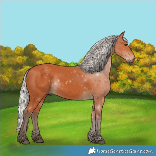Horse Color:Silver Bay 