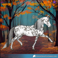 Horse Color:Grullo Splash Frame Appaloosa Rabicano 