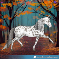 Horse Color:Grullo Splash Frame Appaloosa Rabicano 