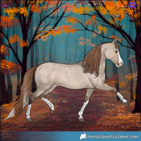 Horse Color:Liver Red Dun Roan Splash 