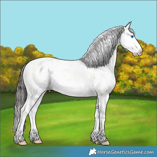 Horse Color:White Spotted Bay Onyx Splash Rabicano 