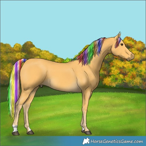 Horse Color:Painted Palomino 