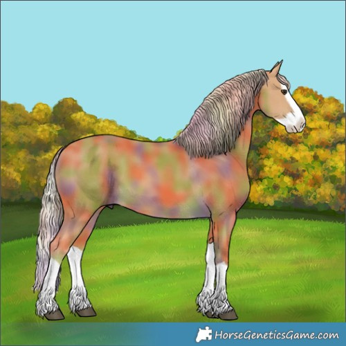 Horse Color:Nacre Palomino Splash 