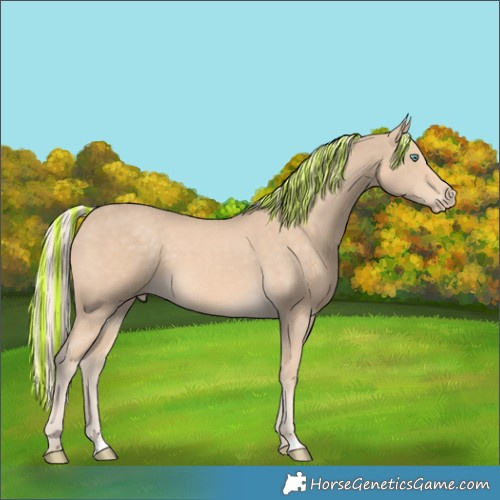Horse Color:Painted Cremello 