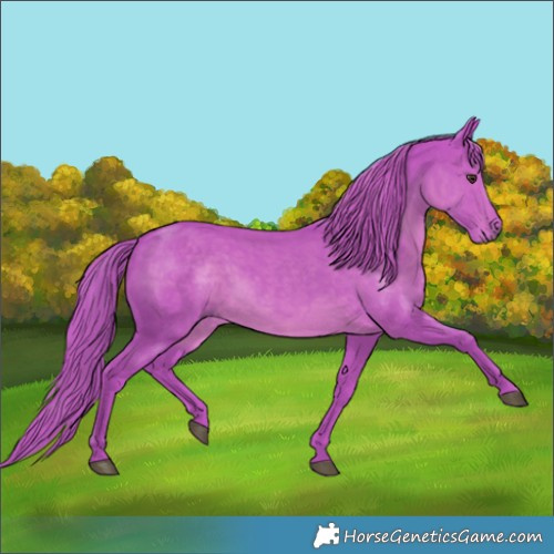 Horse Color:Watercolor Liver Chestnut 