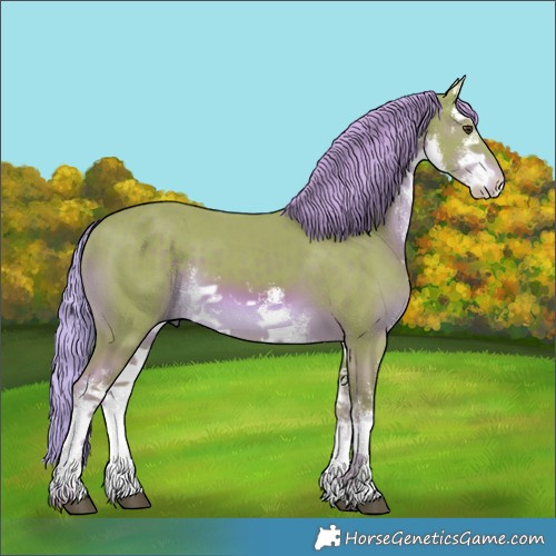 Horse Color:Watercolor White Spotted Chestnut 
