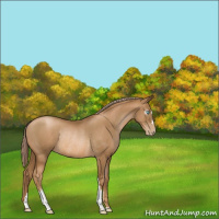 Horse Color:Gray Palomino Pearl Rabicano 