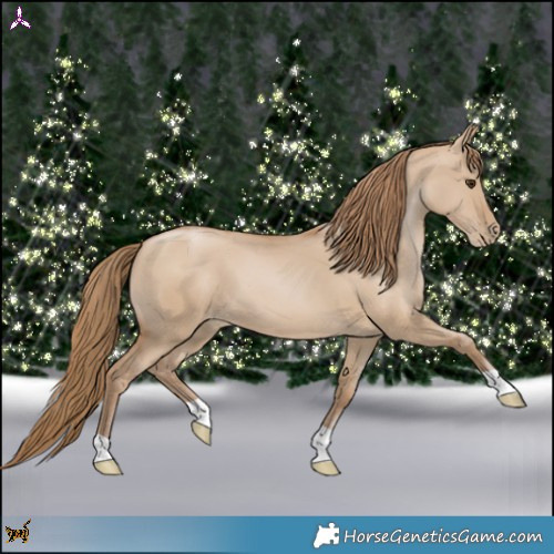 Horse Color:Grullo Pearl 