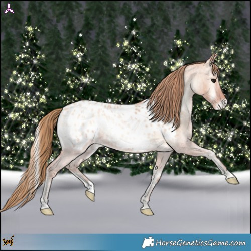 Horse Color:Bay Roan Pearl Onyx Appaloosa 