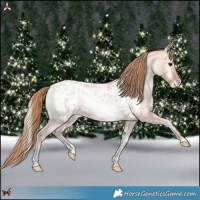 Horse Color:Bay Roan Pearl Onyx Near Leopard 