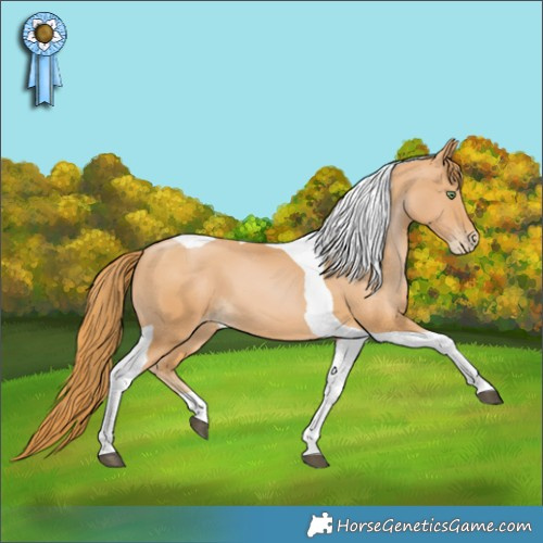 Horse Color:Chestnut Pearl Tobiano 