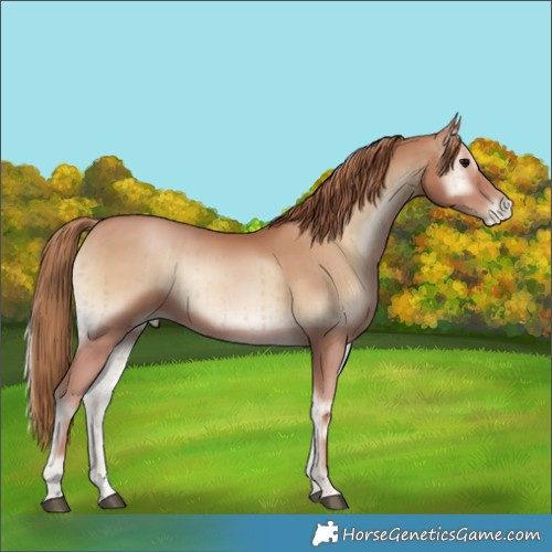 Horse Color:Blue Onyx Pearl Brindle 