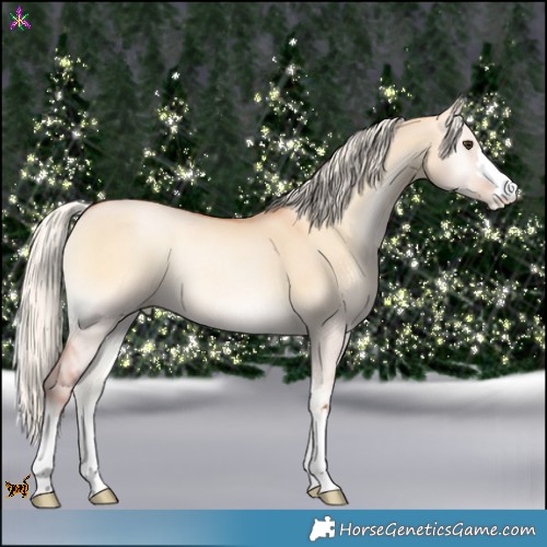 Horse Color:Silver Bay Pearl Onyx 